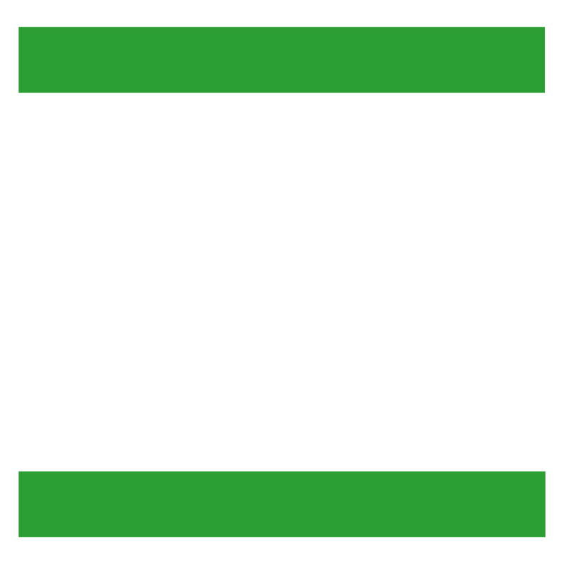 Дизельне паливо (Євро 5), АЗС FDL, талон